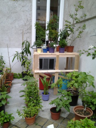 Unser  Pflanzengestell  in Entstehung