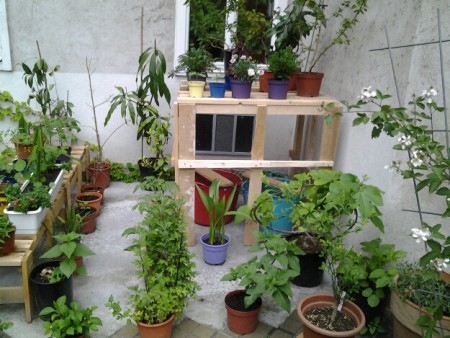 Pflanzengestell  im Innenhof 