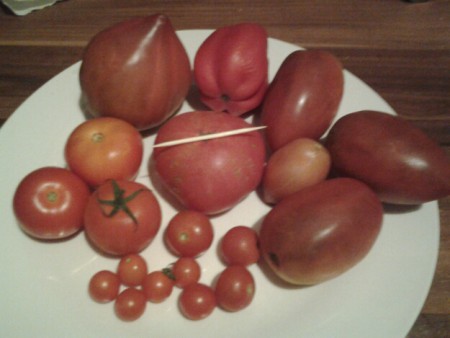 Unsere verschiedenen Sorten