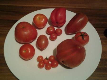 Fast alle unsere Sorten