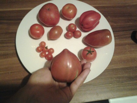 8 verschiedene Sorten